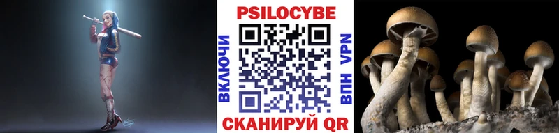 mega зеркало  Шумерля  Галлюциногенные грибы Psilocybine cubensis 
